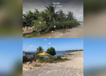 Chesf remove coqueiros e outras árvores da prainha do bairro Centenário por “segurança da barragem”