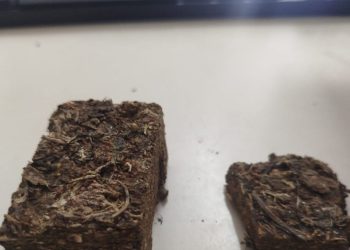 Policiais militares realizam apreensões de drogas em duas ações distintas em Paulo Afonso; menor é detido