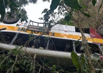 Tragédia em Alagoas: Ônibus de turismo cai de ribanceira e mata 18 pessoas rumo ao Quilombo dos Palmares