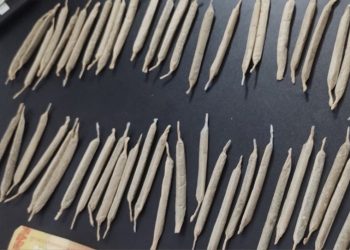 Polícia prende homem com 57 cigarros de maconha em Paulo Afonso