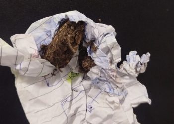 PM conduz homem à delegacia por posse de drogas no BTN I, em Paulo Afonso