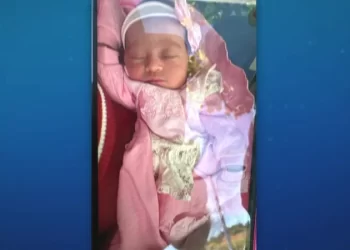 Corpo de recém-nascida desaparecida em Alagoas é encontrado no quintal da casa da família, diz polícia