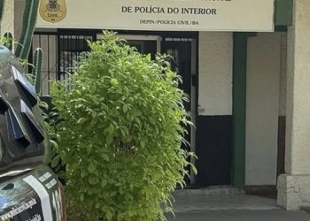 Polícia prende em Sergipe foragido de Paulo Afonso acusado de homicídios e tráfico