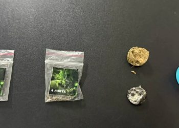 Resumo das ocorrências policiais do final de semana em Paulo Afonso: prisões por drogas, mandado em aberto e desacato