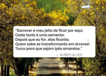 O ‘jovem Gal’ se foi –  Por Fabiana Galdino