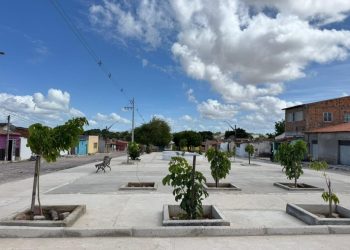 Prefeitura de Delmiro Gouveia já plantou mais de 5 mil mudas e amplia ações de arborização para 2026