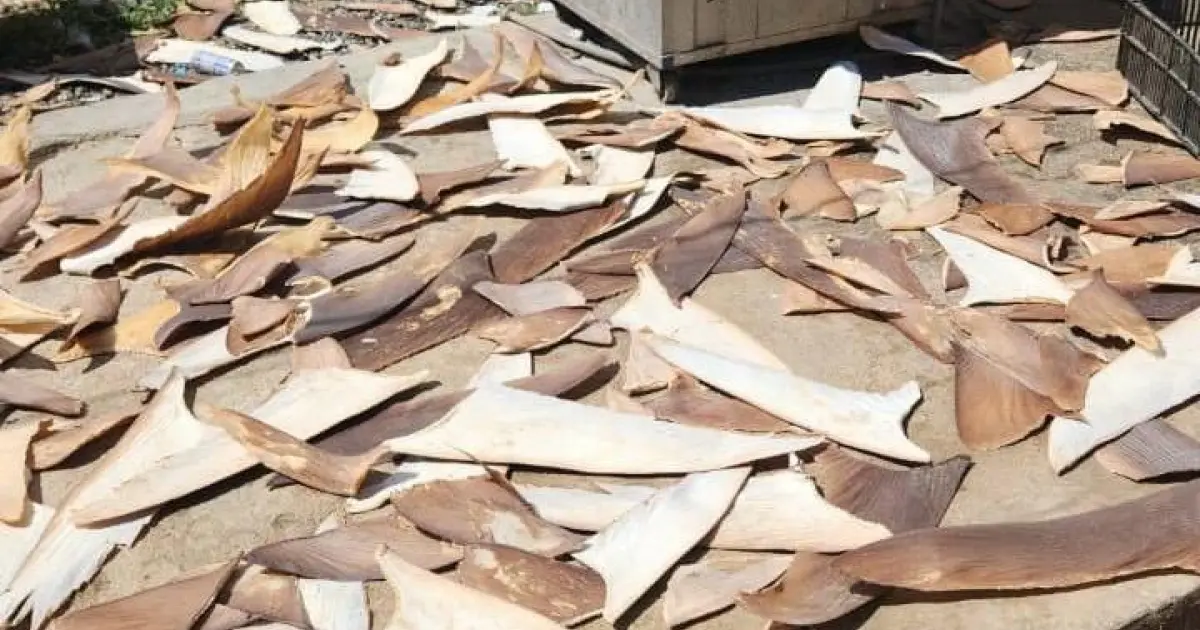 IMAGEM_NOTICIA_9 (1)