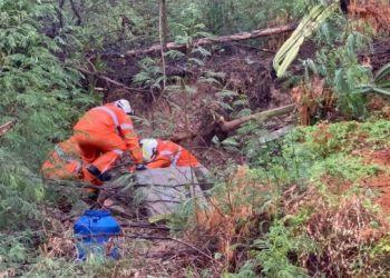 Bombeiros resgatam filhotes soterrados após deslizamento de terra em Paulo Afonso