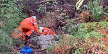 Bombeiros resgatam filhotes soterrados após deslizamento de terra em Paulo Afonso