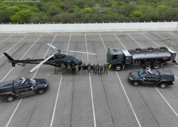 OPERAÇÃO CARCARÁ: PF destrói mais de 576 mil pés de maconha na região de Salgueiro/PE