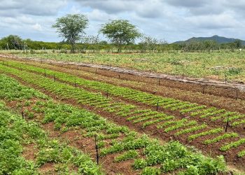 Gestão municipal atua de forma célere e assegura fornecimento de água para agricultores do Distrito da Caiçara