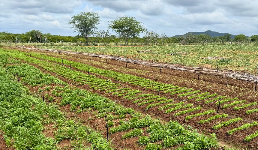 capa_materia_pmpa_2026_-2