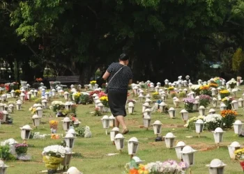 É LEI! Cães e gatos podem ser sepultados em jazigos familiares em São Paulo