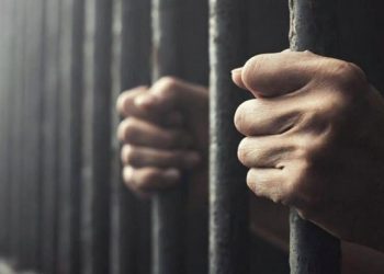 PM prende homem acusado de agredir a mãe com cadeira e ameaçar o pai no BTN 2, em Paulo Afonso