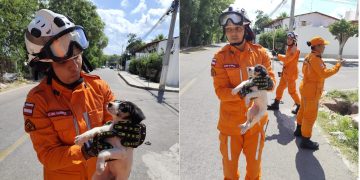 Bombeiros do 15º BBM resgatam cachorro preso em bueiro em Paulo Afonso