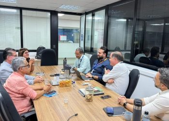 Em Maceió, Ziane Costa reúne Arsal e Equatorial e cobra melhorias urgentes no fornecimento de energia em Delmiro Gouveia