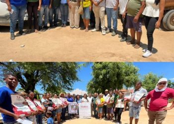 Em Maceió, Ziane Costa reúne Arsal e Equatorial e cobra melhorias urgentes no fornecimento de energia em Delmiro Gouveia