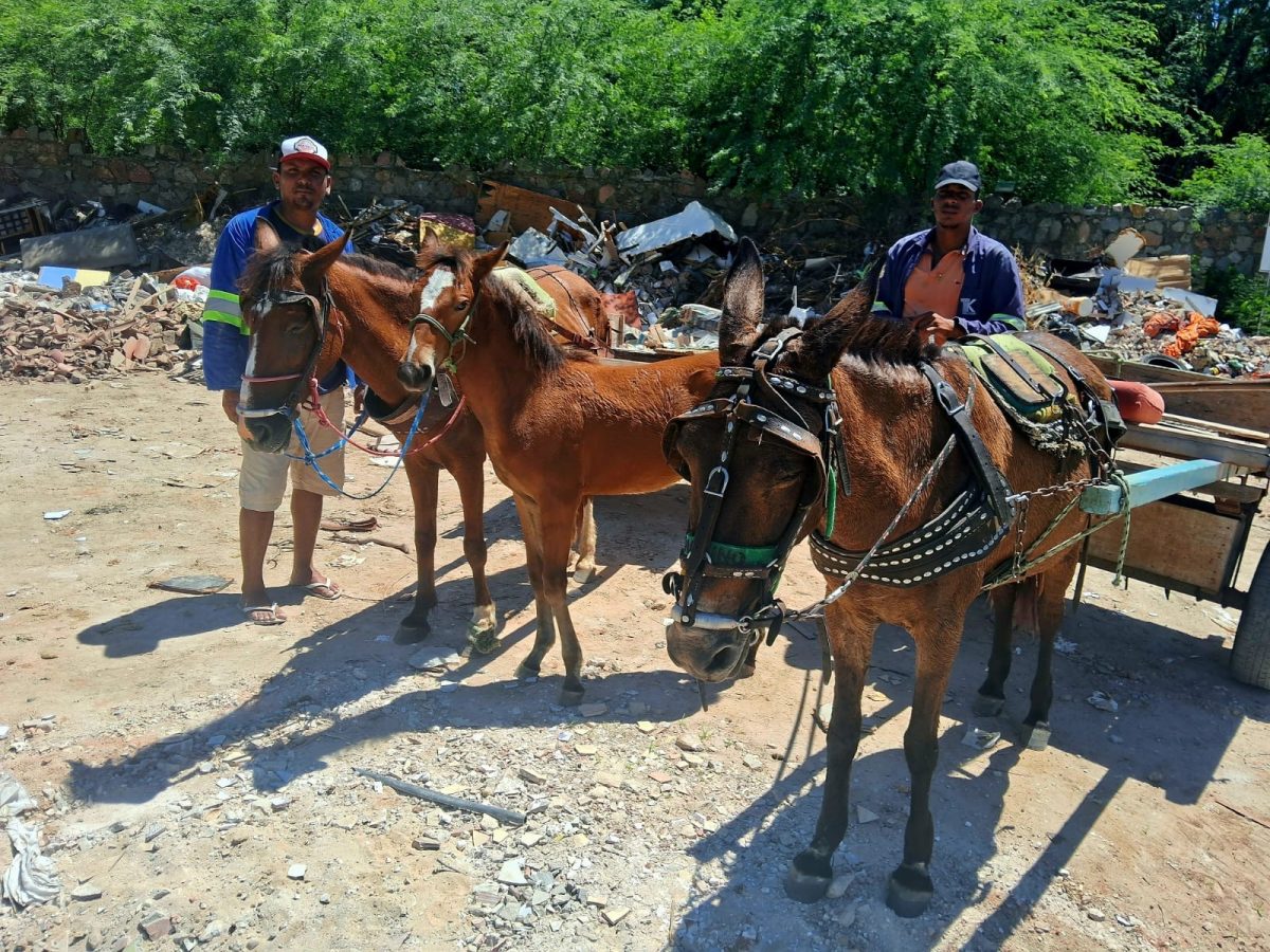 ecd80fb8-035c-47c6-a37e-487ddce1e42a