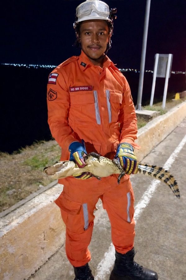 fb29bdcc-7bce-4d8e-81be-18c60a3a0417