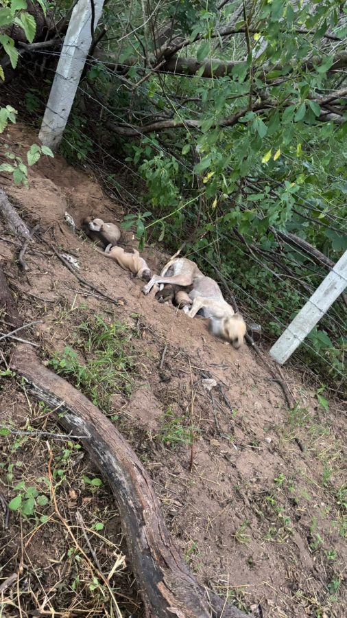 3ef08e79-200a-433d-b750-1885a3f49c4e