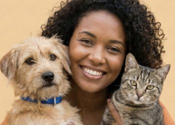 Paulo Afonso lança plataforma digital para adoção responsável de animais