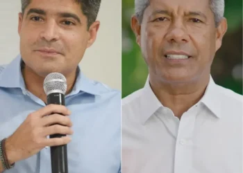 Rascunho automático