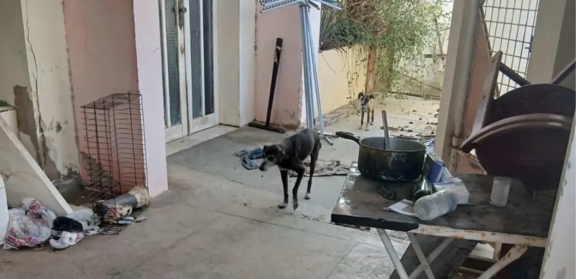 c3f24775-93af-4f63-9eec-cf7c6ed3e44c