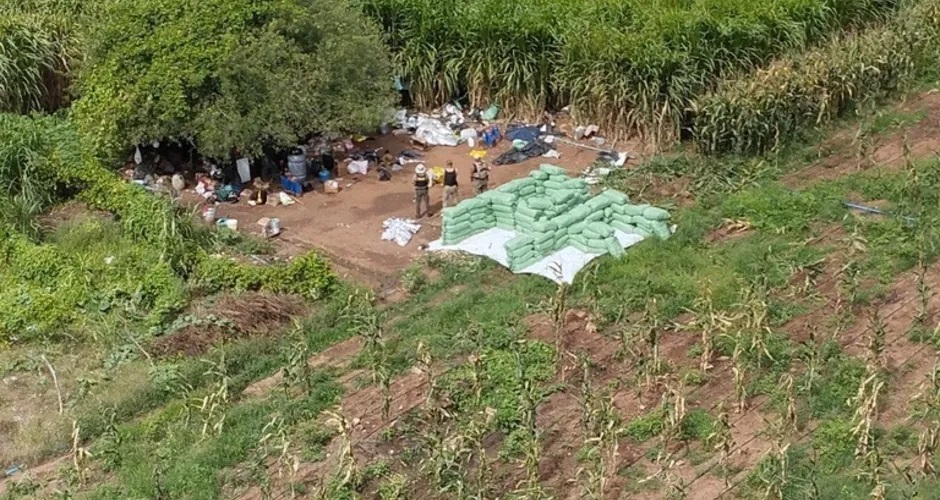 pf-apreende-cerca-de-2-toneladas-de-maconha-em-ope-00894838-ec5510f8efdacbf7e8499d67b79b7f44-7