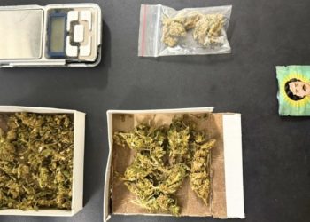Entre drogas e prisão, item incomum chama atenção em ocorrência policial em Paulo Afonso