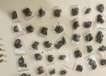 RONDESP apreende 55 papelotes de maconha e revólver em Paulo Afonso