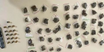 RONDESP apreende 55 papelotes de maconha e revólver em Paulo Afonso