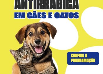 Prefeitura de Glória-BA inicia Campanha de Vacinação Antirrábica em todo o município
