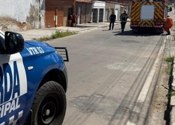Guarda Municipal e trabalho integrado com o Corpo de Bombeiros evitam possível tragédia em Delmiro Gouveia
