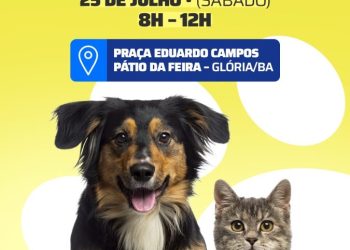 Glória-BA realiza Dia D da Vacinação Antirrábica neste sábado