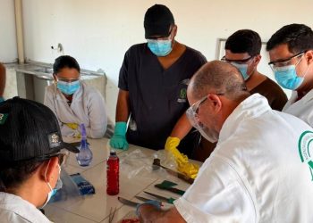 Equipe da Secretaria de Desenvolvimento Rural participa de capacitação para prevenção e controle da raiva e outras doenças no rebanho promovida pela ADAB
