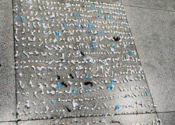 PM cumpre mandado de prisão e apreende mais de 700 porções de cocaína em Paulo Afonso