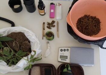 Abordado no Parque Belvedere, homem diz ter autorização médica para uso de maconha; PM apreende plantas em sua casa