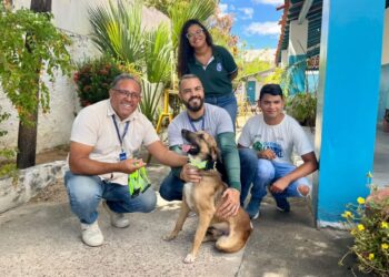 Animais de rua recebem coleiras reflexivas em Paulo Afonso