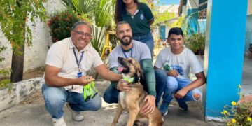 Animais de rua recebem coleiras reflexivas em Paulo Afonso