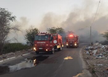 Incêndio próximo às margens do Rio São Francisco mobiliza bombeiros por quase 5h em Paulo Afonso; corporação faz alerta para aumento de queimadas