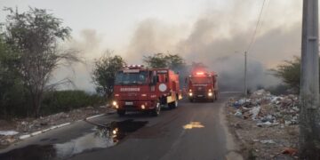 Incêndio próximo às margens do Rio São Francisco mobiliza bombeiros por quase 5h em Paulo Afonso; corporação faz alerta para aumento de queimadas