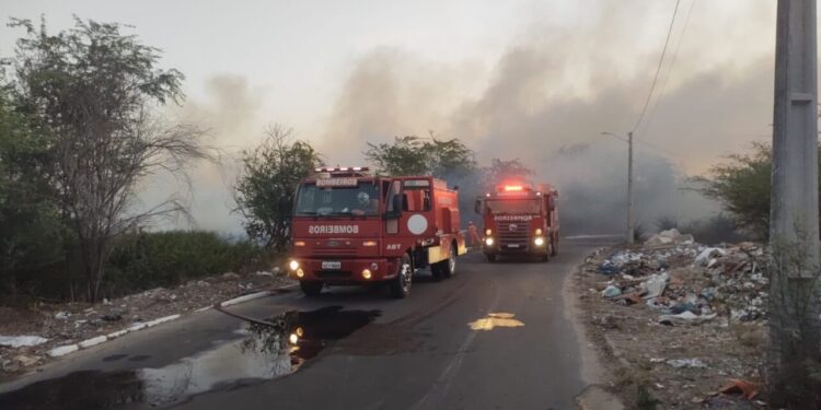 Incêndio próximo às margens do Rio São Francisco mobiliza bombeiros por quase 5h em Paulo Afonso; corporação faz alerta para aumento de queimadas