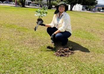 Paulo Afonso promove Semana da Sustentabilidade com ações de educação ambiental e cuidado com a cidade