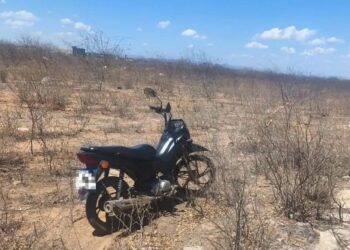 Polícia Militar apreende espingarda após suspeitos fugirem para área de mata na zona rural de Paulo Afonso