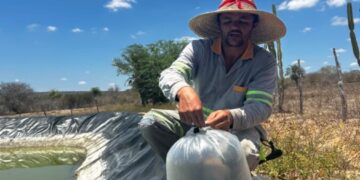 Prefeitura de Glória-BA incentiva a piscicultura e fortalece a produção rural