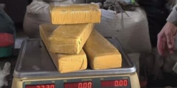 PM apreende 3,32 kg de maconha e 785 g de crack durante ação no BTN 3, em Paulo Afonso